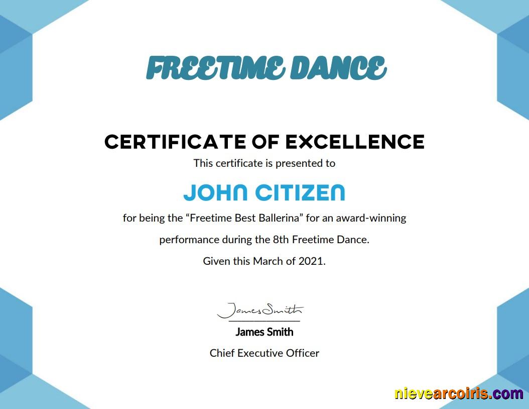 USA Best Performance certificate